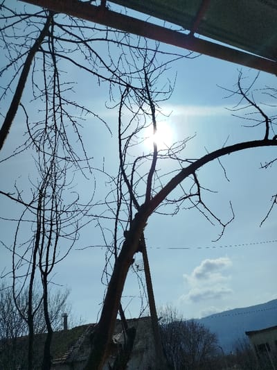 An outdoor scene in Klenovik, Bulgaria, is depicted on a bright, sunny day. The upper portion of the frame is dominated by a clear, light blue sky with the sun positioned off-center to the right, producing a significant lens flare and horizontal light streak. Scattered white cumulus clouds are visible in the lower right quadrant of the sky. Silhouettes of multiple bare, deciduous trees, stripped of foliage, occupy the foreground and midground, their dark branches creating intricate patterns against the brilliant sky. A prominent tree trunk is centrally located, leaning slightly right. A small, light-colored, cage-like object hangs from a branch of this central tree. A dark, horizontal structural element, possibly a roof overhang or beam, is partially visible across the top edge of the image. In the lower midground, below the trees, parts of residential building roofs with dark tiles are discernible, including a white chimney stack on one structure. A thin, dark linear element, likely a wire or cable, horizontally traverses the lower sky behind the trees. In the distant background, a range of mountains is visible along the horizon. No individuals or specific human activity are present.