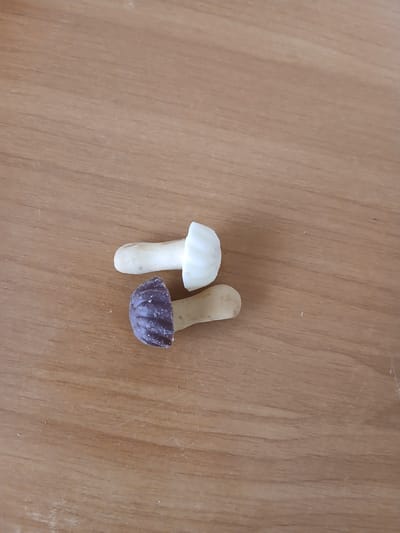 Two small, novelty mushroom-shaped candies sit on a light brown wooden surface. The candy on the left has a white cap and a light tan stem. The candy on the right has a dark purple, ridged cap and a light tan stem. The wooden surface has a visible wood grain pattern with a few small specks of white. The lighting suggests an indoor setting.