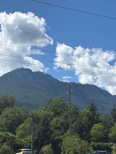 The image depicts a mountainous landscape in Area D (Elaho/Garibaldi), Canada, under a bright blue sky dotted with fluffy white clouds. Power lines traverse the frame, creating a linear element against the natural backdrop. In the foreground, a dense arrangement of lush green trees and foliage partially obscures a light-colored vehicle. A tall, grey utility pole with electrical equipment stands prominently in the mid-ground, breaking the horizon line of the trees. The mountain itself is covered in dark green coniferous trees, with patches of snow visible on its higher elevations. The scene appears to be a typical outdoor environment within the specified Canadian region, characterized by its natural beauty and the presence of infrastructure.