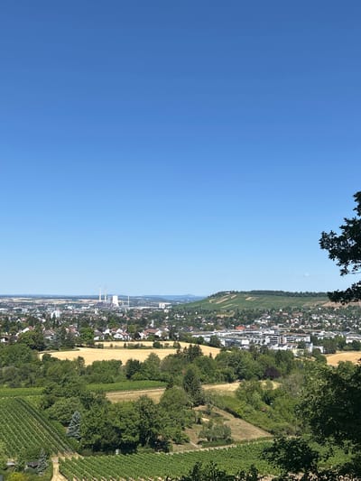 This is a landscape photograph taken from a high vantage point overlooking the city of Heilbronn, Germany. The image is dominated by a clear, bright blue sky, which occupies roughly the upper half of the frame. In the mid-ground, the city of Heilbronn is spread out, featuring a mix of residential areas with red-tiled roofs and modern white buildings. In the distance, a power plant with two prominent smokestacks is visible, a significant industrial landmark. The foreground is characterized by lush green vineyards, with neat rows of grapevines stretching across the lower portion of the image. These vineyards are interspersed with trees and patches of dry, golden fields. A tree with dark green foliage is visible on the right edge of the frame, partially obscuring the view. The overall scene depicts a sunny day with a clear view of the urban landscape and its surrounding agricultural areas. There are no people visible in the image.