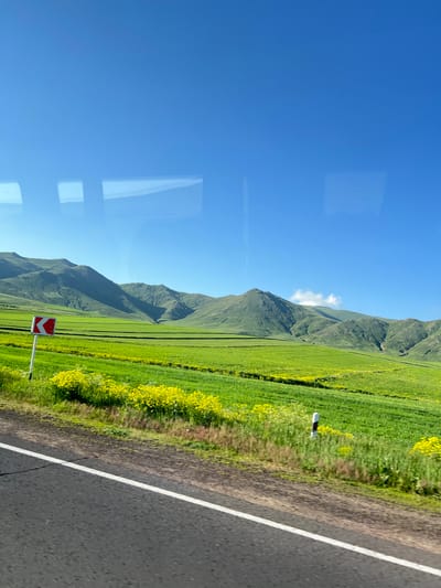 This image captures a scenic landscape likely taken from a vehicle, as suggested by reflections on a window. The primary subjects are vast, rolling green hills and mountains under a clear blue sky with a few wispy clouds. The hills are covered in lush green grass, with patches of yellow wildflowers dotting the landscape, particularly along the roadside. The foreground features an asphalt road with a white line marking its edge, indicating a transportation route. A roadside marker with a red and white chevron design, suggesting a curve in the road or a hazard, is visible. The time of day appears to be daytime, with bright sunlight casting shadows and illuminating the scene, suggesting fair weather. The overall emotion evoked is one of peace and natural beauty. No visible text is present in the image. The location context provided is Gegharot, Armenia, which is consistent with the mountainous terrain and grassy hills.