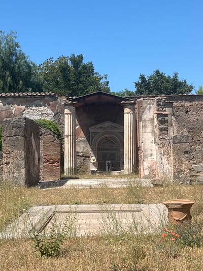 The image shows the ruins of an ancient building in Pompeii, Italy. The building is made of stone and brick, and it has a large arched doorway in the center. The doorway is decorated with carvings, and there are two columns on either side of it. The building is surrounded by overgrown grass and weeds, and there is a clear blue sky in the background. The scene is bathed in sunlight, and the overall impression is one of decay and abandonment.