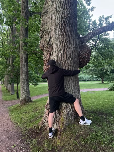 A person is embracing a large, old oak tree in a park. The person is wearing a black hoodie, black shorts, black socks, and white athletic shoes. The tree has a prominent burl on its trunk. The park features a dirt path to the left, lined with more oak trees and grass. The background consists of more trees and a bright sky. The location is the Arboretum of Tuomarinkylä Manor in Vantaa, Finland, a renowned botanical garden known for its collection of trees, including ancient oaks.