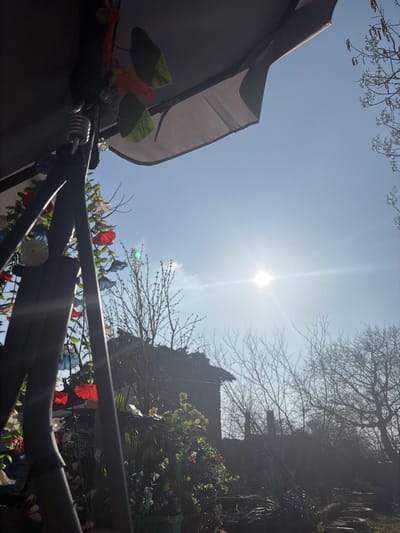 The image depicts an outdoor residential scene in Kriva Bara, Bulgaria, observed on a bright, sunny day, likely in late winter or early spring given the bare deciduous trees.
In the left foreground, a dark-colored metal structure, possibly a component of an outdoor swing or gazebo, extends vertically. It features a visible suspension spring and is decorated with artificial flowers in red, white, blue, and yellow, along with clear decorative beads. A light grey fabric canopy or umbrella roof is visible above this structure, partially obscuring the upper left corner of the sky.
In the midground, a collection of artificial flowers in various colors, including yellow, pink, purple, and white, is arranged in a container on the lower left. Behind these flowers and the metal structure, a dark, single-story building constructed of stone or brick is visible, featuring a dilapidated roof with exposed framing. A chimney is partially visible behind the building.
The background consists primarily of a clear, bright blue sky, with the sun prominently positioned in the upper-right quadrant, emitting a strong lens flare. Numerous bare deciduous trees and shrubs are scattered throughout the midground and background, silhouetted against the bright sky. No individuals are present in the scene.