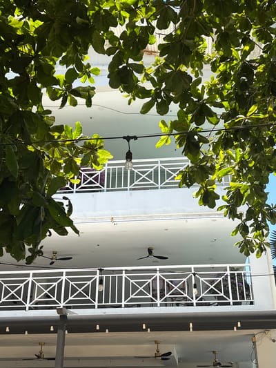 The image shows the exterior of a multi-level building with balconies and white railings featuring a geometric pattern. Lush green foliage from a tree hangs down from the top, partially obscuring the view of the upper floors. On the balconies, there are chairs and tables, and in the background, there are flowering plants with purple blooms. Ceiling fans are visible on some of the balconies and the ground level. The building appears to be located in a tropical or subtropical climate, given the presence of the large tree and the outdoor amenities. The scene depicts a relaxed, outdoor setting, possibly a restaurant, cafe, or hotel, situated in a city like Samal, Philippines, known for its tropical environment and resorts.