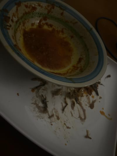 A bowl with blue rim contains remnants of orange sauce. Beside it, a white plate displays scattered debris; small dark specks, likely bones, and food scraps are smeared across the surface. The scene suggests a finished meal, leaving behind a messy and unappetizing view.