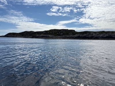 This is a wide, eye-level shot of a calm sea meeting a rocky, vegetated coastline under a partly cloudy sky. The water occupies the foreground and middle ground, reflecting the sky and land. Small waves create a rippled texture across the surface, with highlights indicating sunlight. The coastline is a dark, rugged mass of rock and earth, with patches of green vegetation. The land slopes upwards to a rounded ridge that stretches across the horizon. The sky above is a bright blue, dotted with fluffy white clouds. A single seagull is visible flying in the upper right quadrant of the image. The overall impression is one of serene natural beauty.
The time of day appears to be daytime, likely late morning or early afternoon, given the brightness of the sky and the presence of sunlight. The weather is fair, with a mix of sun and clouds. The location is Hellesøy, Norway, suggested by the rocky coastline and the proximity to the sea. The scene evokes a sense of peace and tranquility, with the vastness of the sea and sky contrasting with the solid, ancient feel of the land. There is no visible text in the image.