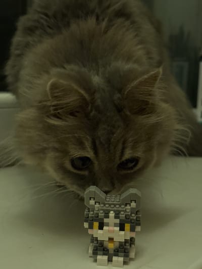 A fluffy gray cat is peering down at a small, gray and white pixelated toy cat. The toy cat is constructed from small building blocks and features yellow eyes and a pink nose. The real cat's face is large in the frame, with its head tilted. The background is a muted, indoor setting with soft lighting, suggesting a domestic environment. There is no indication of the location being Raivka, Ukraine.