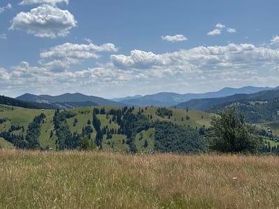 The image depicts a mountainous landscape in the vicinity of Dragoșa, Romania. In the foreground, a field of dry, tall grass extends across the frame, with some blades casting shadows. Beyond the grassy field, rolling hills covered in lush green vegetation and scattered coniferous trees dominate the midground. Small, white structures, likely rural buildings or sheds, are visible on the slopes. In the background, layers of distant, hazy mountains fade into the horizon under a bright blue sky dotted with fluffy white clouds. The scene is a serene, natural vista.