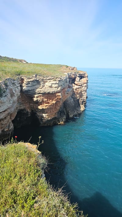 The image shows a rocky cliff formation on the coast of Sveti Nikola, Bulgaria. The rock is layered with a mix of grey, brown, and reddish hues. Green vegetation grows on the cliff's top surface, including grasses and small wildflowers. The deep blue sea borders the cliff on one side, with a dark shadow visible beneath the overhanging rock. A small red poppy is visible near the cliff edge. The sky is a clear, light blue.