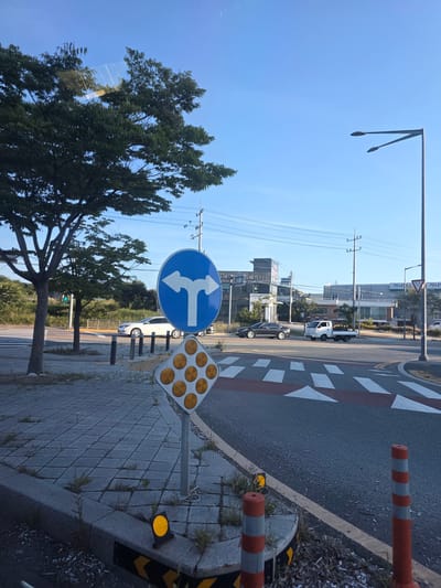 The image depicts an outdoor scene on a clear day, likely in the city of Daejeon, South Korea. In the foreground, a traffic sign with white arrows pointing left and straight ahead is mounted on a pole. Below it, a diamond-shaped warning sign with multiple yellow reflective circles is also visible. The ground is paved with interlocking gray bricks, and a concrete curb separates it from the asphalt road. Orange and white striped traffic cones are placed along the curb.
In the middle ground, a crosswalk with white markings is present on the road. Several cars are visible, including a white sedan, a dark-colored sedan, and a white pickup truck. Buildings with Korean signage can be seen in the background, suggesting an urban or suburban environment. A tree with green foliage stands to the left of the traffic sign. The sky is a clear blue. The overall impression is of a street intersection or a busy road in South Korea.