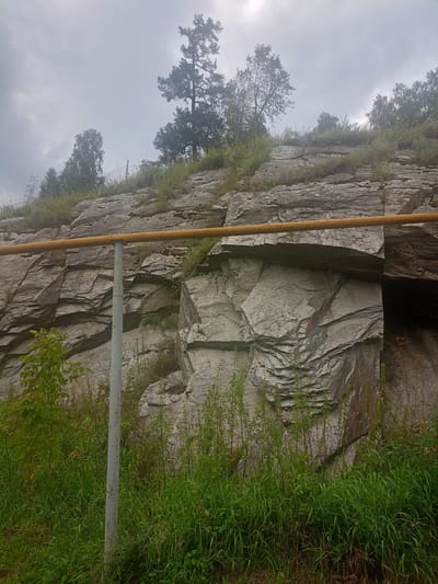 The image depicts a rugged, rocky cliff face partially overgrown with green vegetation, including tall grasses and some leafy plants in the foreground. A yellow pipe runs horizontally across the middle section of the cliff, supported by a grey vertical pole. The sky above is overcast and appears hazy. Trees are visible on the top of the cliff, silhouetted against the sky, with a prominent pine tree standing out. The overall scene suggests a natural landscape with some man-made infrastructure. Based on information associated with the image, this location is identified as a natural monument in the city of Zlatoust, Russia.