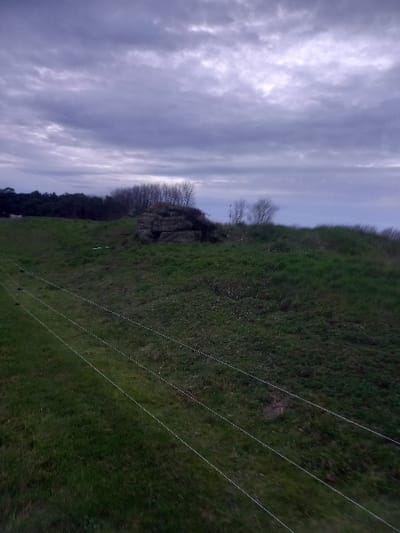 A landscape photograph shows a grassy hillside meeting a cloudy sky. Three power lines stretch diagonally across the green slope. Above, a group of trees and exposed rocks cluster near the hill's crest. A dark line of vegetation is on the left, before the sky. The clouds fill the majority of the sky.