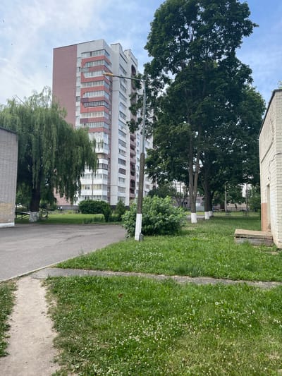 The image depicts a residential area in Salihorsk, Belarus, on a cloudy day. In the background, a tall, multi-story apartment building with a pink and white facade and numerous balconies dominates the skyline. To the left of the apartment building, a mature weeping willow tree with long, drooping branches stands prominently. In the foreground, a paved pathway runs along the edge of a well-maintained lawn dotted with small white flowers. Several mature trees with dense green foliage are scattered throughout the scene, and some tree trunks have white paint around their bases, a common practice in urban landscaping. A single street lamp is visible, and a light-colored brick building is present on the right side of the frame. A chain-link fence runs across the mid-ground, separating the grassy area from what appears to be a playground or recreational space. A single individual, dressed in dark clothing, can be observed in the distance near the fence. The overall impression is one of a typical urban residential environment.