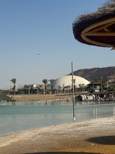 This is a vertical, eye-level, outdoor photograph taken on a clear day. The scene depicts a waterfront area with several buildings and natural elements.
In the foreground, a large, tan-colored object with a textured surface occupies the right side of the frame. This appears to be a walkway or embankment. To the left of this embankment is a body of water, likely a sea or large lake, with a light turquoise hue. Several white, upright structures, possibly bollards or small piers, are visible in the water.
Further back, along the waterfront, a line of buildings with balconies and palm trees in front of them can be seen. One prominent building features a large, white, dome-like structure with a textured, segmented surface, resembling scales or an onion. A dark, mountainous landscape rises in the background behind these structures.
In the sky, there is a small, colorful object, possibly a kite or a paraglider, with reddish-orange and white coloring.
The overall impression is of a resort or recreational area on a sunny day. The presence of palm trees and the mountainous backdrop suggest a warm climate. The clear blue sky indicates fair weather. The composition, with the water and buildings, hints at a developed coastal or lakeside area. No people are clearly discernible in the image.