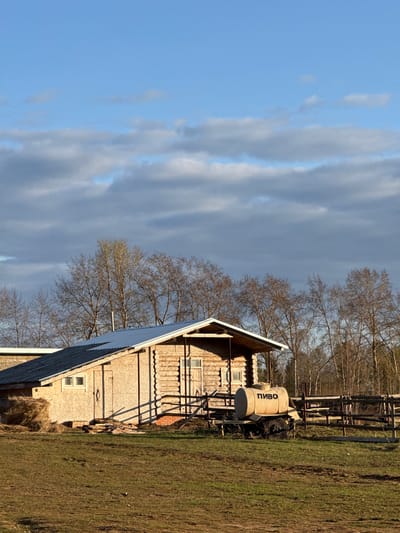 A daytime shot depicts a rural scene, likely in or near Galevo, Russia. A light-colored wooden building with a gabled roof dominates the right side of the frame. The building appears to be constructed from logs or planks, with visible windows and decorative elements along the eaves.
Adjacent to the building, a small tank truck with the Russian word "ПИВО" (Pivo, meaning beer) is parked on a grassy field. The field extends into the background, where a wooden fence and bare trees are visible.
The left side of the image features a cloudy sky, transitioning from blue to darker, overcast tones. The scene is bathed in sunlight, casting shadows and highlighting the textures of the building, grass, and trees. The overall impression is one of a simple, rustic setting, possibly a rural residential area or farm.