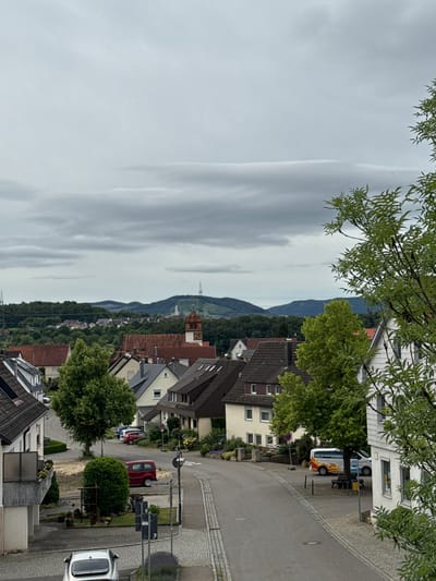 The image presents a panoramic view of a European town, identified as Nürtingen, Germany, under an overcast sky. The scene is observed from an elevated perspective, looking down into a valley surrounded by tree-covered hills.

In the foreground, a residential street winds through an array of houses with pitched roofs of various colors, predominantly reddish-brown and gray, and white or light-colored facades. Lush green trees and bushes are scattered throughout the neighborhood, with green leaves from a tree hanging into the top portion of the frame. The road features both asphalt and cobblestone-like paving.

Several vehicles are parked along the street: a white van with a colorful graphic (possibly flames) on its side, a red car, and a light-colored (likely silver or white) car, identifiable by the "TESLA" lettering on its rear, parked on the right side. A round 'no entry' road sign is partially visible.

In the middle distance, a prominent church spire or clock tower rises above the rooftops, typical of German towns. Further in the background, rolling hills densely covered in dark green foliage stretch across the horizon, with what appears to be a power line tower on one of the distant peaks. The sky is uniformly gray with elongated cloud formations, indicating an overcast or possibly rainy day, and there are no visible harsh shadows. No people are discernible, suggesting a quiet moment in the town.