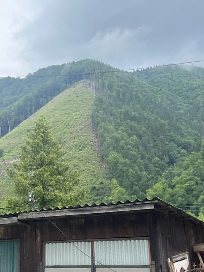 The image shows a cloudy day in Ust-Chorna, Ukraine, with a wooded mountain slope in the background. A portion of the slope has been cleared of trees, revealing a grassy area with some sparse vegetation. Power lines are visible running across the mountain and over a dark wooden building in the foreground. The building has a corrugated metal roof and windows with corrugated metal coverings. There are no people visible in the image. The environment appears to be a rural or semi-rural area.