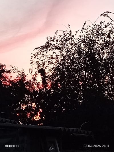 The image shows a silhouette of trees against a pink and orange sky, likely at sunset or sunrise. The foliage is dense, obscuring the sky in many places. The lower part of the image shows a dark, corrugated roofline, suggesting an outdoor or semi-outdoor setting. The timestamp "23.06.2026 21:11" and the text "REDMI 15C" are visible in the bottom corners, indicating the date, time, and device used for the photograph. There are no people or discernible actions depicted. The location is stated to be in the city of Mykolaivka, Ukraine.