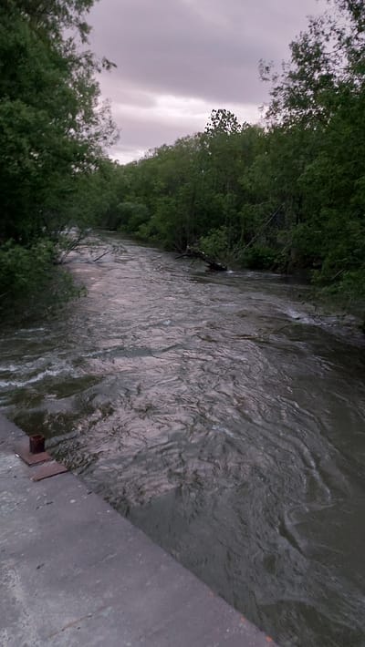 The image depicts a wide, fast-flowing river bordered by dense, green trees on both banks. The sky above is overcast with grey clouds. In the foreground, a concrete structure, likely a bank or walkway, is visible on the left side of the image, with some metal fixtures attached. The river water appears murky and turbulent, with visible ripples and currents. A fallen tree or large branch is partially submerged in the river further upstream. The scene suggests a natural, possibly wild, environment. No people are present in the image. The image was taken in the city of Lesnoi, Russia.