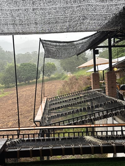 The image depicts an elevated outdoor viewing or lounging area in Ban Paem Bok, Thailand, during a rain shower. Overhead, a black mesh shade net is visible, with raindrops evident. The foreground features two horizontal platforms constructed with black metal frames and tightly woven black netting, possibly for hammocks or seating, edged with light-colored rope. These platforms appear wet. Below these structures, a dirt or tilled field extends into the midground, beyond which a dense, green forest line is visible. Rain streaks are evident throughout the midground. To the right, a portion of a building with brick pillars and a sloped roof is visible, along with a large, beige patio umbrella. A white vehicle is partially obscured by trees and rain in the distance, on what appears to be a track or road. The background consists of hazy, verdant mountains under an overcast sky. No individuals are present in the scene.