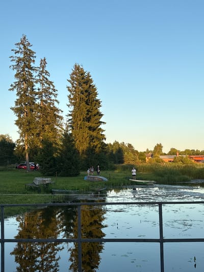 In Chikino, Russia, on a grassy area adjacent to a body of water, two tall evergreen trees stand prominently. A red car is parked on the grass. Several people are gathered near the car and on the grass. Further down the shoreline, a group of individuals, including children, are standing near some overturned boats. A woman is standing on the shore near a small boat. The water is calm and reflects the sky and surrounding trees. In the background, there are buildings and more trees. A dark metal railing runs across the foreground, with the reflection of trees visible in the water below.