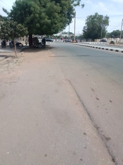 The image displays a street scene in the city of Muhammadu Dikko Stadium, Nigeria. The foreground consists of a grey asphalt road exhibiting visible cracks and stains. To the left, a dirt shoulder leads to a cluster of trees, dominated by a large, densely foliated green tree, with a smaller tree immediately to its left. Beneath the large tree, several motorcycles are parked, and one individual in dark attire is visible near them. Additional motorcycles are parked further down the dirt shoulder.
The main asphalt road continues into the midground, featuring a central median with distinct black and white striped curbing. Beyond this median, another section of the road is visible, where several dark-colored cars and at least one yellow motorized rickshaw-type vehicle are present. In the background, further trees, utility poles with overhead lines, and low-rise buildings or structures, including what appears to be a stadium perimeter fence, are discernible against an overcast sky. No specific dynamic actions or interactions are clearly visible among the sparsely present people and vehicles.