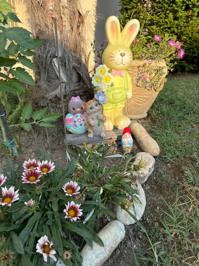 This media file displays a close-up, high-angle shot of garden decorations and plants. The primary subjects are several ceramic figurines, including a yellow bunny wearing overalls and a pink bow, a small gnome with a red hat, a cat, and two egg-shaped figures adorned with colorful patterns. The bunny figurine is prominently featured and appears to be holding a bouquet of ceramic flowers.

The scene is set outdoors, likely in a garden, with a background of green foliage and dry grasses. Several smooth, gray stones are scattered around the figurines. In the foreground and to the right, there are several Gazania flowers with striking burgundy and white petals and yellow centers. Some green tomato plant leaves are also visible in the lower part of the frame.

The lighting suggests it is daytime, possibly late afternoon or early morning, given the warm tone of the light and shadows. The overall impression is one of a cheerful, whimsical garden display. No visible text is present in the image. The location context of Sant'Angelo di Piove di Sacco, Italy, places the scene within a specific geographical area, though no distinct visual cues within the image itself directly confirm this location.