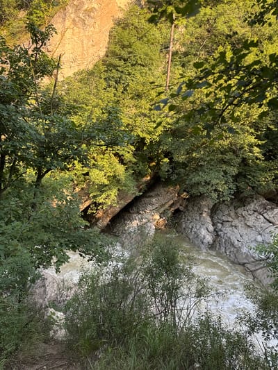 This is a high-angle, vertical shot of a narrow gorge in Khanag, Russia, with a turbulent river flowing through it. The gorge is carved into a rocky cliff face, with lush green trees and foliage growing on its upper edges and sides. The river, appearing muddy and fast-moving, churns over rocks, creating white foam. Sunlight illuminates the scene, casting shadows and highlighting the textures of the rocks and leaves. A single wooden utility pole with wires is visible among the trees on the right side of the frame. The foreground features dense green undergrowth and grasses, obscuring the ground.