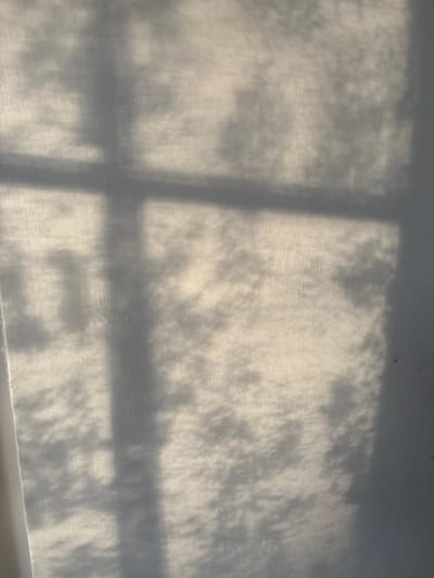 The image shows a close-up, full-frame view of a white, textured fabric, likely a curtain, illuminated by sunlight. Shadows of window panes and foliage are cast across the fabric. The light creates a dappled effect with areas of bright illumination and darker shadow. The fabric has a visible weave pattern. The scene is devoid of any human presence or discernible objects other than the fabric itself and the projected shadows. The location in Imeni Morozova, Russia, is not visually evident from the image.