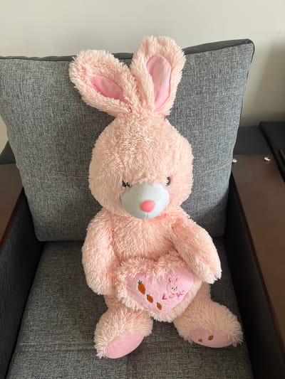 A plush pink bunny is sitting on a gray sofa. The bunny has long ears lined with a lighter pink fabric, a light gray muzzle with a pink nose and black eyes. Its chest has a pink heart-shaped patch embroidered with two carrots and the word "Love." The sofa appears to be in an indoor setting, possibly a living room, with a plain white wall in the background. There are no people in the image. The scene is static and there is no action taking place. This image does not depict the city of Berd, Armenia.