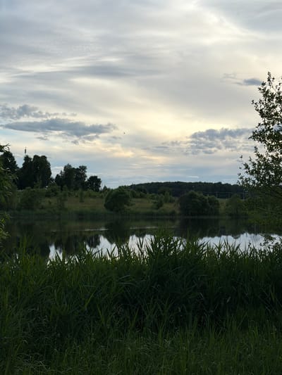 This is a landscape photograph of a natural scene, likely taken in Satino-Russkoe, Russia. The image is oriented vertically, with the sky occupying the left half and the land and water on the right.
The sky is filled with a mix of dramatic clouds, ranging from wispy cirrus formations to denser, darker clouds. Sunlight is breaking through, creating a bright, almost hazy glow in the upper left portion of the frame.
The right side of the image depicts a body of water, likely a river or a lake, reflecting the sky and the surrounding landscape. Along the bank of the water, there is dense, tall green grass in the foreground. Beyond the water, a tree-lined bank is visible, with a variety of green trees and foliage forming a thick, natural barrier. In the distance, the trees create a dark, verdant horizon. There are some faint, indistinct structures or poles visible among the trees on the far bank, possibly part of power lines or some other infrastructure. The reflection of the trees and the sky in the water is quite clear, contributing to the serene and natural ambiance of the scene.
The time of day appears to be either early morning or late afternoon, judging by the soft, diffused light and the way the sun is breaking through the clouds. The weather seems to be partly cloudy, with a sense of calm and tranquility. There are no people or specific objects of interest, the focus being entirely on the natural landscape. No text is visible in the image.