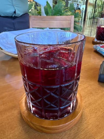 A close-up, eye-level photograph captures a clear, faceted glass filled with a deep red liquid and several ice cubes, exhibiting condensation on its exterior surface. The glass rests on a round, light-brown wooden coaster, positioned on a light-colored wooden table with visible grain. In the immediate background to the left, a folded white cloth or napkin is present on a small, light-colored dish or tray. Further left and behind, the upper back and shoulder of a person wearing a light blue/teal top and dark trousers are partially visible, seated. A light-brown wooden chair back and a large green-leafed plant are also visible in the midground. To the right in the background, another identical glass with red liquid and ice, also on a wooden coaster, is out of focus, alongside a dark-colored object resembling a wallet or phone on the table. The environment appears to be a bright, semi-open indoor or patio setting, possibly a restaurant or cafe, with obscured architectural features. The scene is located in the city of La Fortuna, Costa Rica.