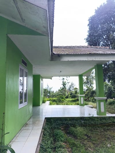 The scene depicts the exterior of a structure located in Nanlao, China, under an overcast or hazy sky. The foreground shows a light green building with white-framed, multi-pane windows reflecting the environment. An extended porch or veranda with a light-colored, square-tiled floor runs along the building's side. Two light green columns with white decorative bases support the porch's roof structure. The underside of the porch roof is white, showing some wear, and the visible main roof features weathered, corrugated tiles with patches of moss or discoloration. Immediately adjacent to the tiled porch floor is an unmaintained area of dense green ground cover and low vegetation. Beyond the porch, the environment transitions into a more natural setting with numerous trees and bushes filling the background. No people, animals, specific objects, actions, or interactions are present in the frame.