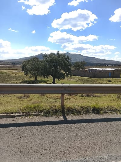 This image depicts an open landscape under a partly cloudy sky, observed from a roadside perspective in Kiambu Township ward, Kenya. In the immediate foreground, a dark asphalt road surface is visible, partially obscured by a light-colored metal guardrail supported by two dark posts. The guardrail casts a long, distinct shadow extending across the road surface to the lower left. Behind the guardrail, a strip of sparse green and brown grass with some dry vegetation is present.
The midground features an expansive, uncultivated field of dry, yellowish-green grass. Two large, mature trees with dense green foliage stand prominently in the center-left of this field. To the right, a low, light-colored masonry wall, possibly part of a building or compound, is visible, featuring a bright blue door on its right side. Other faint structures or roofs are discernible further behind this wall.
The background is dominated by a range of distant hills or mountains with a jagged profile, appearing dark green or brown against the bright sky. The sky above is a vibrant blue, filled with scattered white cumulus clouds. The lighting indicates bright daylight, with strong shadows cast from right to left, suggesting a high sun angle. No individuals or specific activities are observable within the scene.