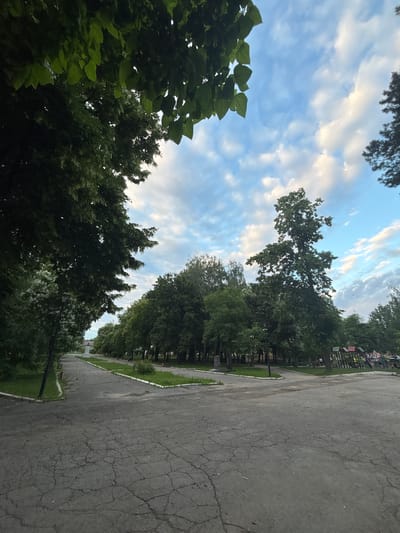 A low-angle shot looks up at a cloudy sky between trees and an asphalt path. The image is rotated 90 degrees clockwise. The sky is blue with scattered white and gray clouds. Lush green trees with full canopies line the right side of the frame, some of them appearing to be deciduous. The trees create a dense green wall. In the foreground on the left, a close-up of dark green leaves obscures some of the sky and trees. The asphalt path is cracked and appears weathered, running along the right edge of the frame and curving slightly into the distance. A strip of green grass and some white edging stones are visible between the asphalt and the trees. In the far distance, beyond the trees, playground equipment with colorful structures is visible. The light suggests it is daytime, possibly late afternoon or early evening, given the soft quality of the light filtering through the clouds and trees. There is no visible text in the image. The overall scene depicts a park or recreational area with mature trees and a paved walkway.