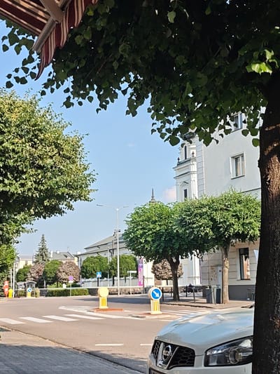 The image depicts a street scene in the city of Mława, Poland, likely on a sunny day. In the foreground, the hood and headlight of a light-colored Nissan Qashqai are visible, parked on a paved road with a pedestrian crossing. Beyond the crossing, a street intersection is present with traffic signs, including a blue directional arrow sign and yellow bollards. Trees line the street, with lush green foliage obscuring parts of the background buildings. To the left, a striped awning extends from a building. In the middle ground, a white building with architectural details like columns and arched windows is prominent. Further in the background, other buildings and a church spire can be seen. Several individuals are visible, including one person sitting on a bench in front of the white building and another person walking near the yellow bollard. The overall impression is a calm, urban environment with pedestrian and vehicular traffic.