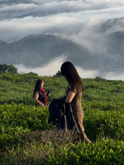 Two women are standing in a grassy field, likely a tea plantation, with misty mountains in the background. The woman in the foreground, facing away from the camera, has long dark hair and is wearing a brown dress and holding a dark jacket. The woman in the background, facing left, has long dark hair, is wearing a black top, a red scarf, and holding a phone. The environment is lush and green, with rolling hills covered in fog. The scene appears to be at dawn or dusk, with soft lighting. The location is identified as a tea plantation in Phát Chi, Vietnam.