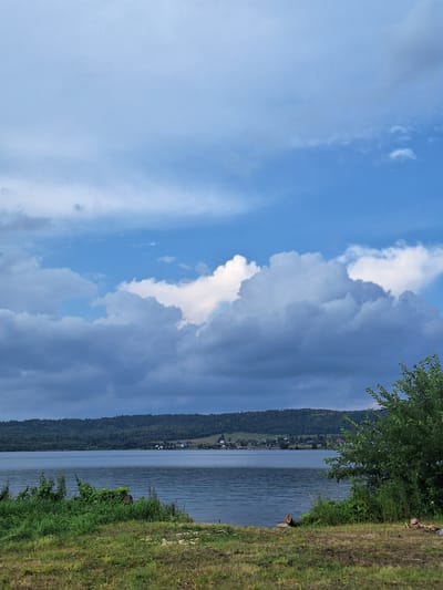 The image depicts a tranquil lake scene with a distant shoreline populated by a small village nestled amongst rolling, tree-covered hills. The sky above is a dramatic canvas of blue, punctuated by large, fluffy white and grey clouds, suggesting a dynamic weather pattern. In the foreground, lush green grass and thick vegetation line the edge of the lake, with a few scattered logs adding a rustic touch to the landscape. The water is calm, reflecting the sky and the distant landscape. The overall impression is one of natural beauty and serenity. While the image does not explicitly show any people, it captures a serene natural environment that could be located in or near Atamanovka, Russia, given its depiction of a typical Russian rural landscape.