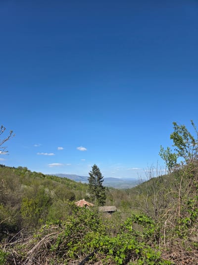 The image presents a wide, scenic view of a natural landscape in Lelintsi, Bulgaria, under a vast, clear blue sky. The sky dominates the upper portion of the frame, appearing bright and cloudless for the most part, with only a few small, scattered white cumulus clouds visible towards the distant horizon on the right. This suggests a sunny day, likely midday or early afternoon.
Below the expansive sky, the horizon features layers of distant rolling hills or mountains, fading into a lighter atmospheric haze. The foreground and midground are densely covered with various types of vegetation, including both evergreen and deciduous trees and bushes, some showing vibrant green foliage and others still with bare branches or early signs of spring growth.
Nestled within the trees on the right side of the landscape, a small structure with a distinct reddish-brown tiled roof is visible, possibly a rural building, shed, or shelter. The immediate foreground on the right features dense, untamed bushes and branches, indicating the perspective is from an elevated, natural overlook.
No people or activities are visible in the tranquil scene. There is no visible text. The overall impression is one of peaceful natural beauty and an expansive view over a rural, hilly region.