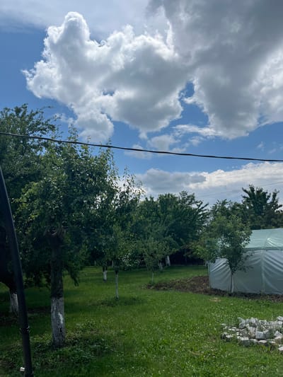 This image captures an outdoor scene in Dupnitsa, Bulgaria, presenting a verdant garden or small orchard under a partially cloudy blue sky. The upper portion of the frame is dominated by white cumulus clouds interspersed with patches of clear blue. A dark electrical or communication cable spans horizontally across the upper mid-ground. The landscape below features numerous deciduous trees with dense green foliage. Several tree trunks, particularly in the foreground and mid-ground, are painted white, indicating horticultural care. The ground is covered with lush green grass, dotted with small white wildflowers, suggesting an active growing season. To the right, a white, semi-transparent greenhouse or hoop house with a plastic-like covering is visible. Adjacent to the greenhouse, a section of dark, disturbed earth indicates recent tilling or gardening activity. In the lower right foreground, a circular arrangement of light-colored, irregularly shaped rocks rests on the grass. A dark pole is partially visible on the far left edge of the frame. No individuals or animals are present in the scene.