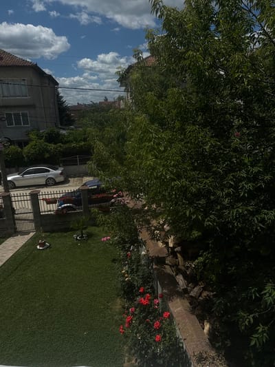 The image depicts a residential street scene in Dolni Chiflik, Bulgaria, under a bright, partly cloudy sky. The foreground features a well-maintained green lawn bordered by a brick wall with some stacked wood and dense green foliage. Red roses are in bloom along the wall. Beyond the lawn is a black metal fence. A paved pathway leads to the left.
On the other side of the fence, a street is visible with two cars parked: a silver sedan on the left and a dark-colored vehicle partially obscured on the right. Beyond the cars, houses with tiled roofs and visible power lines are present. A large tree with dense green leaves dominates the right side of the image, casting shadows. The overall impression is a typical urban or suburban setting in a residential area.