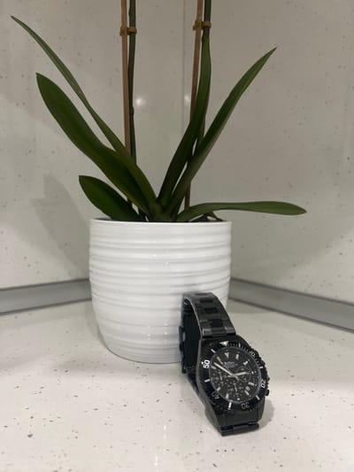 A black wristwatch with a metal band is placed on a speckled white countertop next to a white ribbed ceramic pot containing a green leafy plant. The watch face is black with white markers and hands, and features three smaller dials. The plant has long, pointed green leaves and is supported by two thin wooden stakes. The countertop has a fine speckled pattern of gray and black dots. The background is a light-colored wall with a similar speckled texture, and a thin gray horizontal strip runs along the bottom edge of the wall. The scene appears to be indoors, possibly in a domestic setting. There are no people or animals present. The time displayed on the watch is not clearly legible. The location of Novi Iskar, Bulgaria is not ascertainable from the provided image.