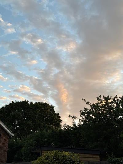 The image depicts a view towards the sky, with tree branches and foliage occupying the right side of the frame. The sky is filled with a mix of grey and white clouds illuminated by the setting sun, casting a warm, golden light on some of the clouds. A section of a building with a dark roof is visible in the lower right corner, partially obscured by the trees. The location is East Suffolk, United Kingdom.
