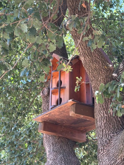 A wooden birdhouse with multiple openings is attached to the trunk of a large oak tree. The birdhouse is brown and has a multi-level design. The tree has rough, textured bark and is covered in green leaves. The background is blurred and shows more greenery, suggesting a natural outdoor setting. The image is taken from a low angle, looking up at the birdhouse and tree. There are no people or animals visible in the frame. The setting appears to be a park or forest area, and there is no indication that this location is in the city of Zagora, Montenegro.