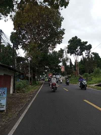The scene depicts a street view within the city of Taohom, Laos, under an overcast sky. A two-lane asphalt road, marked with a solid white line on the left shoulder and broken yellow lines in the center, extends into the distance, curving slightly left.
On the road, multiple motorcycles are in motion, traveling away from the viewer. In the foreground right, a black scooter carries two individuals; the operator wears a purple jacket and a dark helmet, while the passenger wears a dark helmet. Directly ahead, a rider in a grey hooded sweatshirt and dark helmet operates a dark motorcycle. Several other motorcycles and scooters follow, all with riders wearing helmets. In the mid-ground right, another black scooter with a single rider in a dark jacket and helmet is visible. Further down the road, a line of traffic, including a light-colored car, proceeds.
The left side of the road features a small, single-story building with a red-brown corrugated metal wall and a dark roof. A white sign with blue text, partially legible as "SERVICE JOK" and "JOK MOTOR", stands in front. A utility pole with numerous overhead wires is positioned next to the building. Dense green foliage, including large trees, lines the roadside. Another pole with a dark fixture is visible further back.
The right side of the road is bordered by an elevated bank covered in dense green vegetation and various trees, some tall with visible trunks. A utility pole with wires runs parallel to the road. A vertical banner, possibly displaying an image, hangs from a pole. In the background, additional trees and a structure with a dark, distinct roof are visible.