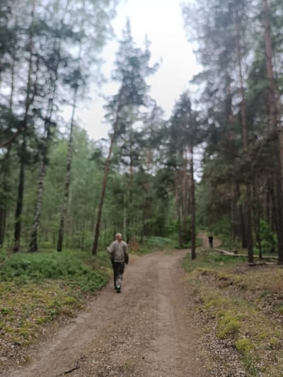 A person in camouflage clothing is walking away from the camera on a dirt path through a forest. The path is lined with mossy ground and trees. In the distance, another person is visible on the path. The scene is set in a forest with tall trees and green undergrowth, under an overcast sky. The image appears to have been taken in the vicinity of Дубненскі сельскі Савет, Belarus.
