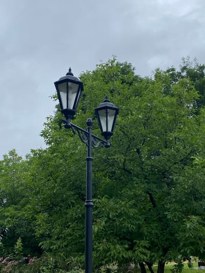 A black, double-headed lamppost stands tall in the foreground, its ornate design featuring decorative scrollwork and finials. The lamppost is positioned in front of a dense, vibrant green tree, its leaves forming a lush canopy that fills the mid-ground of the image. The sky above is overcast and grey, suggesting a cloudy day. In the lower left corner, hints of pink flowers and tall grass add a touch of natural detail to the scene. The overall setting appears to be a park or a garden area within the city of Zapadny, Russia.