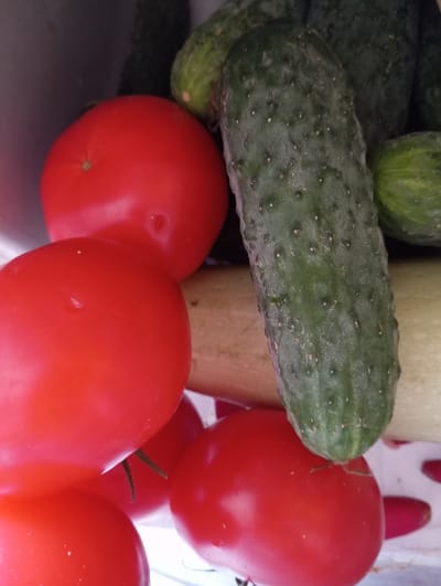 A close-up, overhead shot displays a collection of ripe red tomatoes and green cucumbers, likely intended for consumption. The produce is arranged in a haphazard manner, suggesting they are being stored together. The lighting is soft and diffused, with no harsh shadows or highlights. The background is blurred and indistinct, making it difficult to discern the exact environment, but it appears to be indoors, possibly a kitchen or pantry. The image is devoid of any human presence or activity, focusing solely on the natural beauty of the fresh vegetables. No geographical information is available in the image itself, and therefore its connection to Hlynytsi, Ukraine cannot be confirmed.