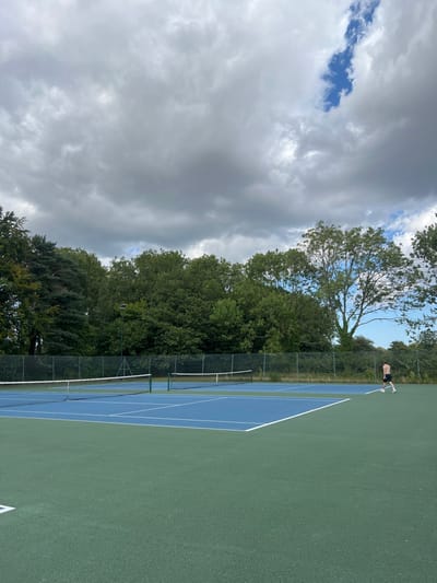 A verdant tennis court stands beside a dense line of trees under a cloudy sky. The court features a blue interior and green perimeter. A tennis net divides the court. A person is seen at the edge of the court. The sky is covered with dark, heavy clouds, except for a small patch of blue peeking through.